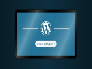 Display Widgets WordPress Plugin Gives Hackers Access